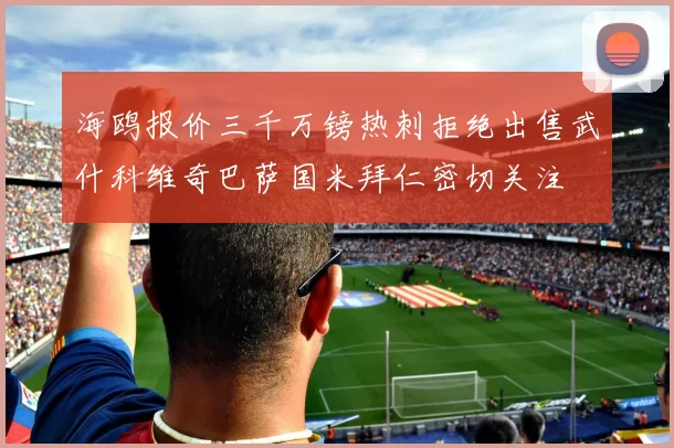 海鸥报价三千万镑热刺拒绝出售武什科维奇巴萨国米拜仁密切关注